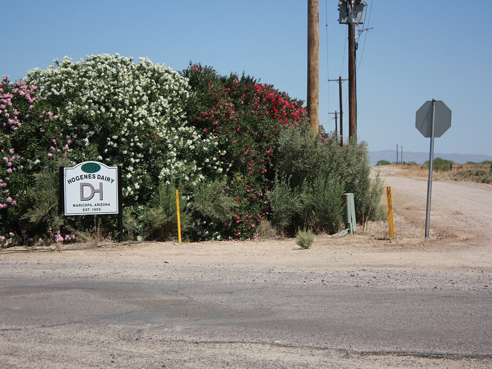 Hogenes Dairy