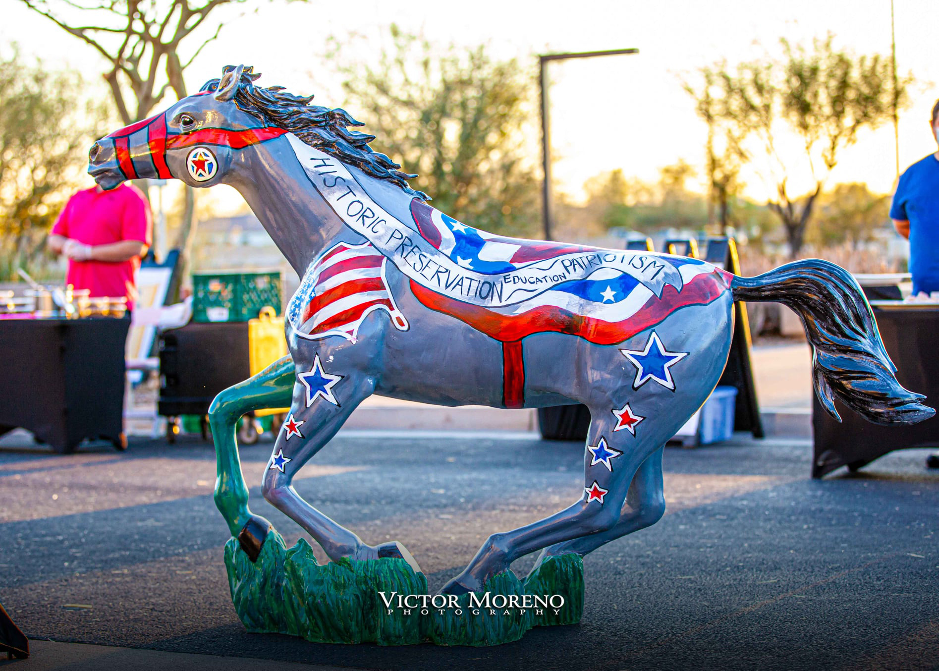 Wild Horses Patriot