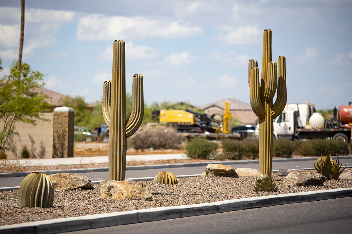 Metal cacti spike the punch in city road medians  it's a thorny issue -  InMaricopa.com