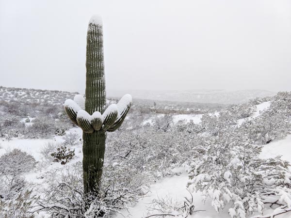 Does it ever snow in Maricopa? Here’s the real answer