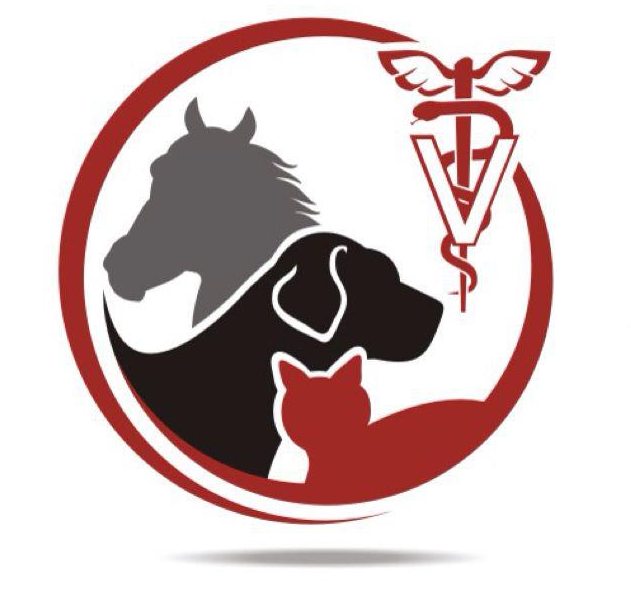 Maricopa Animal Hospital Maricopa Animal Hospital