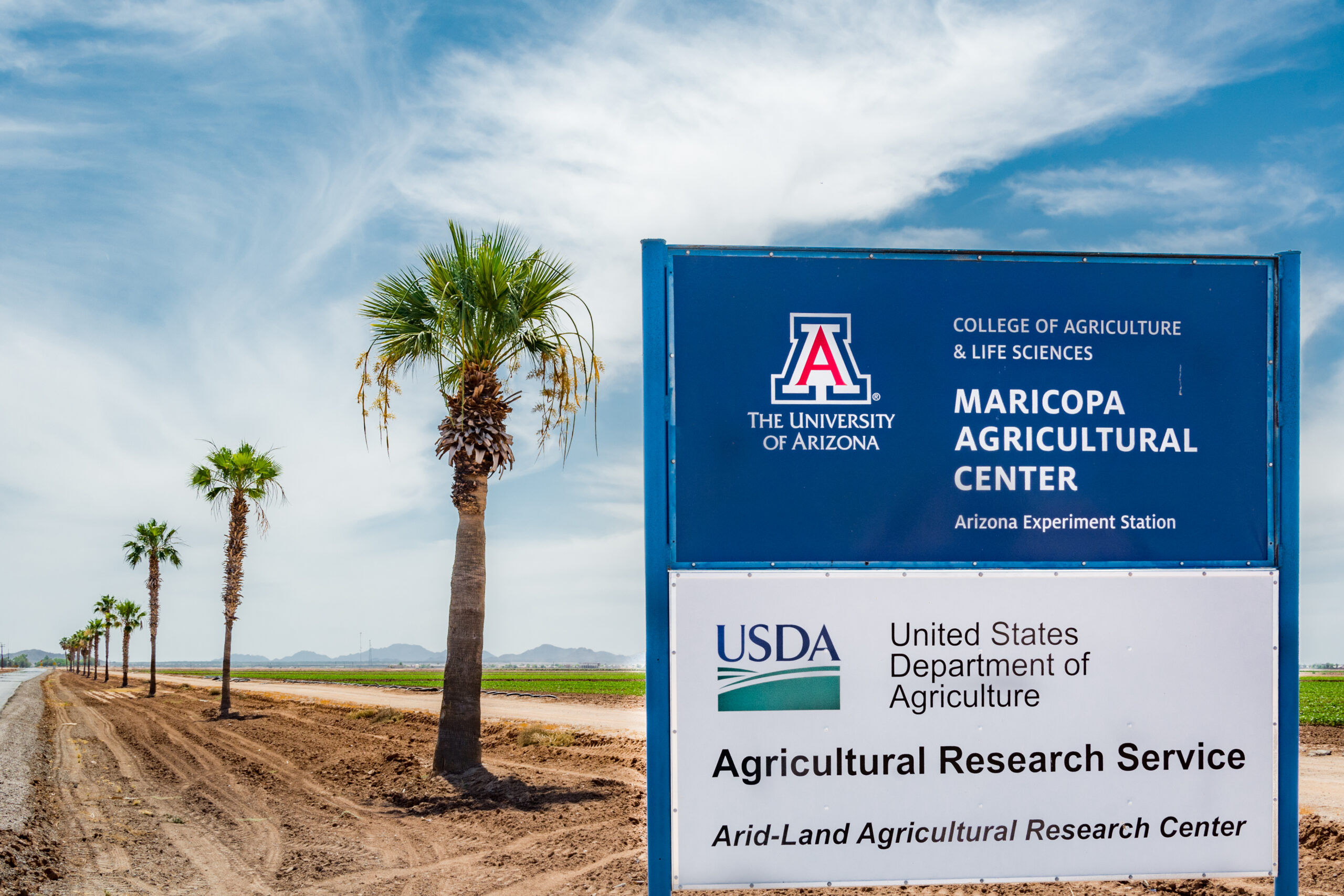 University of Arizona plans Maricopa workshop on using satellite data for irrigation