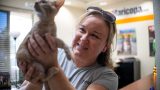 Jennifer Ferguson, foster coordinator for Little Whiskers Animal Rescue, holds foster kitten Phillip on Sept. 1, 2026. [Monica D. Spencer]