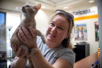 Jennifer Ferguson, foster coordinator for Little Whiskers Animal Rescue, holds foster kitten Phillip on Sept. 1, 2026. [Monica D. Spencer]