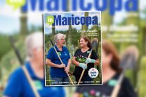 [InMaricopa file]